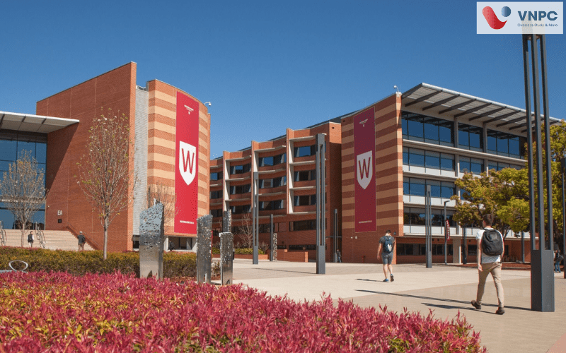 các trường đại học ở Sydney